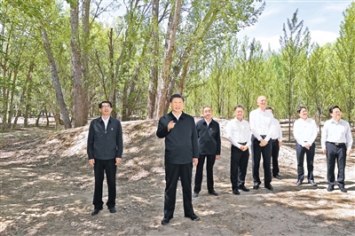 习近平：勇担使命不畏艰辛久久为功 努力创造新时代中国防沙治沙新奇迹
